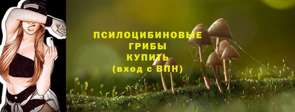 скорость Белокуриха