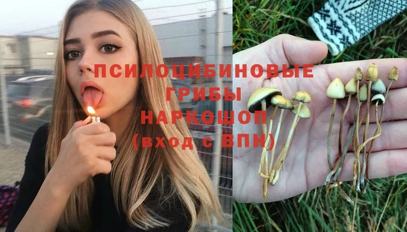 Псилоцибиновые грибы Magic Shrooms  купить закладку  Верхняя Пышма 