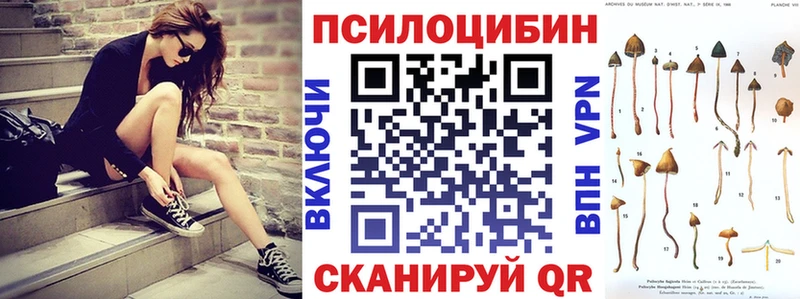 Псилоцибиновые грибы мухоморы цена наркотик Верхняя Пышма
