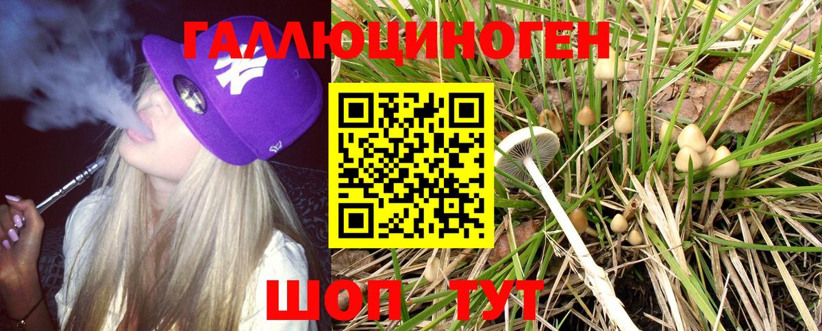 Галлюциногенные грибы MAGIC MUSHROOMS Верхняя Пышма