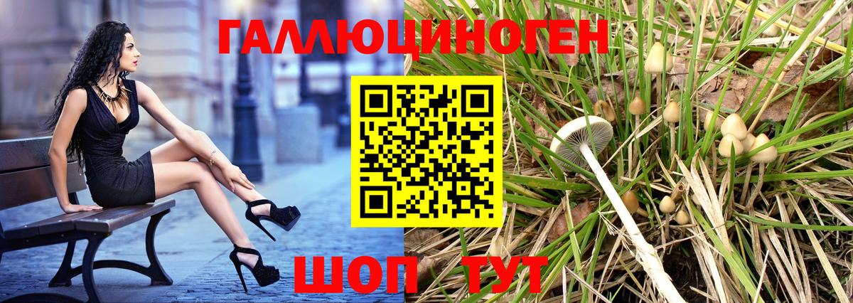 Галлюциногенные грибы Верхняя Пышма